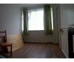 Сдается в хорошие руки 1 Bedroom flat