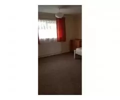 Сдаю комнату £400/m (double room) Hatfield - 2