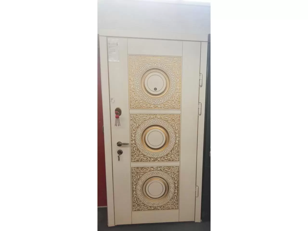 Security Doors - 1