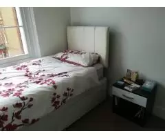 South Kensington single room - 1