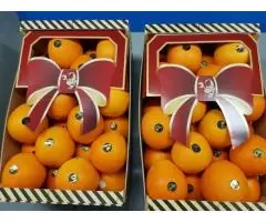 Продаем апельсины из Испании - 2