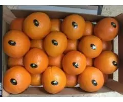 Продаем апельсины из Испании - 4