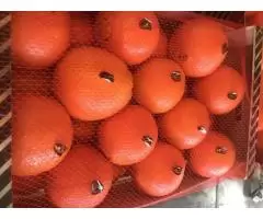 Продаем апельсины из Испании - 5