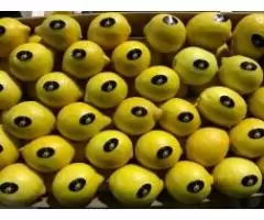 Продаем лимоны из Испании - 5