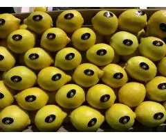 Продаем лимоны из Испании - 6