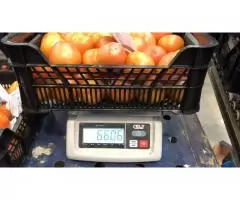 Продаем томаты из Испании - 4