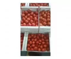 Продаем томаты из Испании - 6