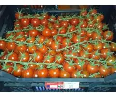 Продаем томаты из Испании - 7