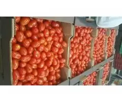 Продаем томаты из Испании - 8