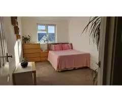 Сдается double room для ОДНОГО человека. - 2