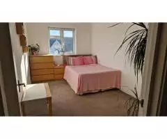 Сдается double room в Wimbledon - 6