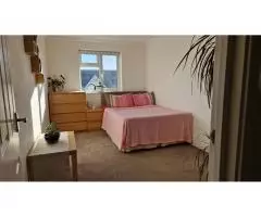 Сдается double room в Wimbledon - 8