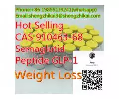 99,9% čistota prášek semaglutid CAS 910463-68-2 - 4