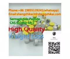 99,9% čistota prášek semaglutid CAS 910463-68-2 - 6