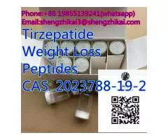 Semaglutid CAS 910463-68-2 Tirzepatid 2023788-19-2 Retatrutide 2381089-83-2 - 9