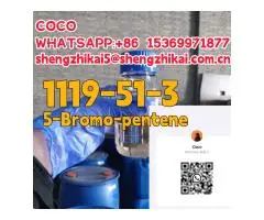 Factory supply Best price Cas1119 5-Bromo-pentene - 1
