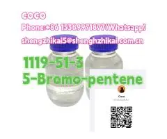 Factory supply Best price Cas1119 5-Bromo-pentene - 2