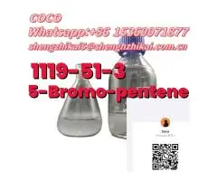 Factory supply Best price Cas1119 5-Bromo-pentene - 6