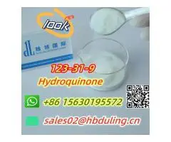 China factory supply Hydroquinone cas 123-31-9 sales02@hbduling.cn - 2