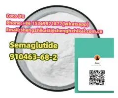 Manufacturer 99% Purity Semaglutide Raw Powder CAS 910463-68-2 GLP-1 - 9