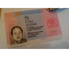 Получите здесь вид на жительство, удостоверение личности, паспорт и водительские права. - 1