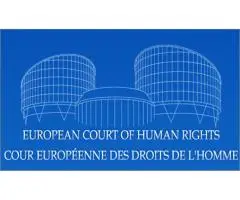 Подача иска в Европейский Суд по Правам Человека.