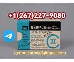 Telgrm+1267.227.9080.Buy Sodium Pentobarbital Injection In Manchester, Liverpool, Plymounth UK