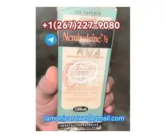 Telgrm+1267.227.9080.Buy Sodium Pentobarbital Injection In Manchester, Liverpool, Plymounth UK - 2