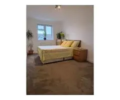 Double room - 2