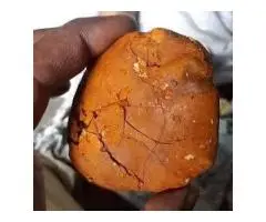 Buy cow /Ox Gallstone Available On Stock Now @ (WhatsApp: +237673528224)