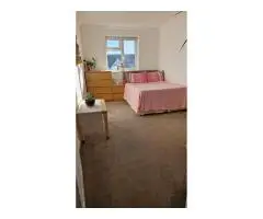 Сдается double room в Wimbledon - 5