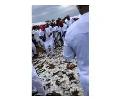 ♻️+2347036230889 I want to join occult for money ritual