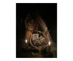 +27672740459 I NEED URGENT RETURN LOVER EX BACK SPELL CASTER IN USA, UK, CANADA.