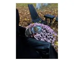 Гадания на зачатие, бесплодие