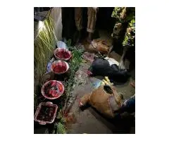 DEATH SPELL CASTER IN USA NEW ZEALAND CANADA MONTREAL +27710188399