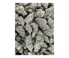 Buy Weed In Dubai telegram @greenplug420