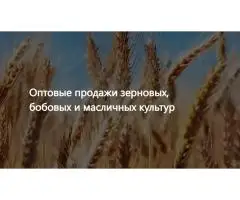 ООО Агропром - оптовая реализация продуктов питания экспорт