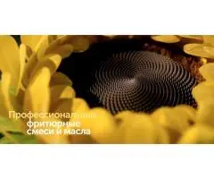 SolPro - промышленные жиры и маргарины для хлебобулочной промышленности