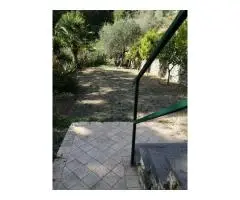 House in Alassio Liguria