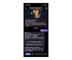 @KotTranslate_bot Голосовой переводчик в Telegram - 5
