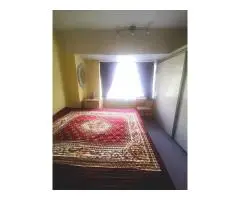 Сдается дабл для мужчины. - 2