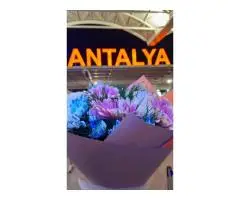 VIP ТРАНСФЕР В  АНТАЛИИ ТУРЦИЯ