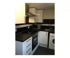 Brand new 4 bed house in Plaistow, Canning Town, Available from 11th June - 4