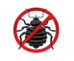 Предлагаем избавится от любых видов вредных насекомых!