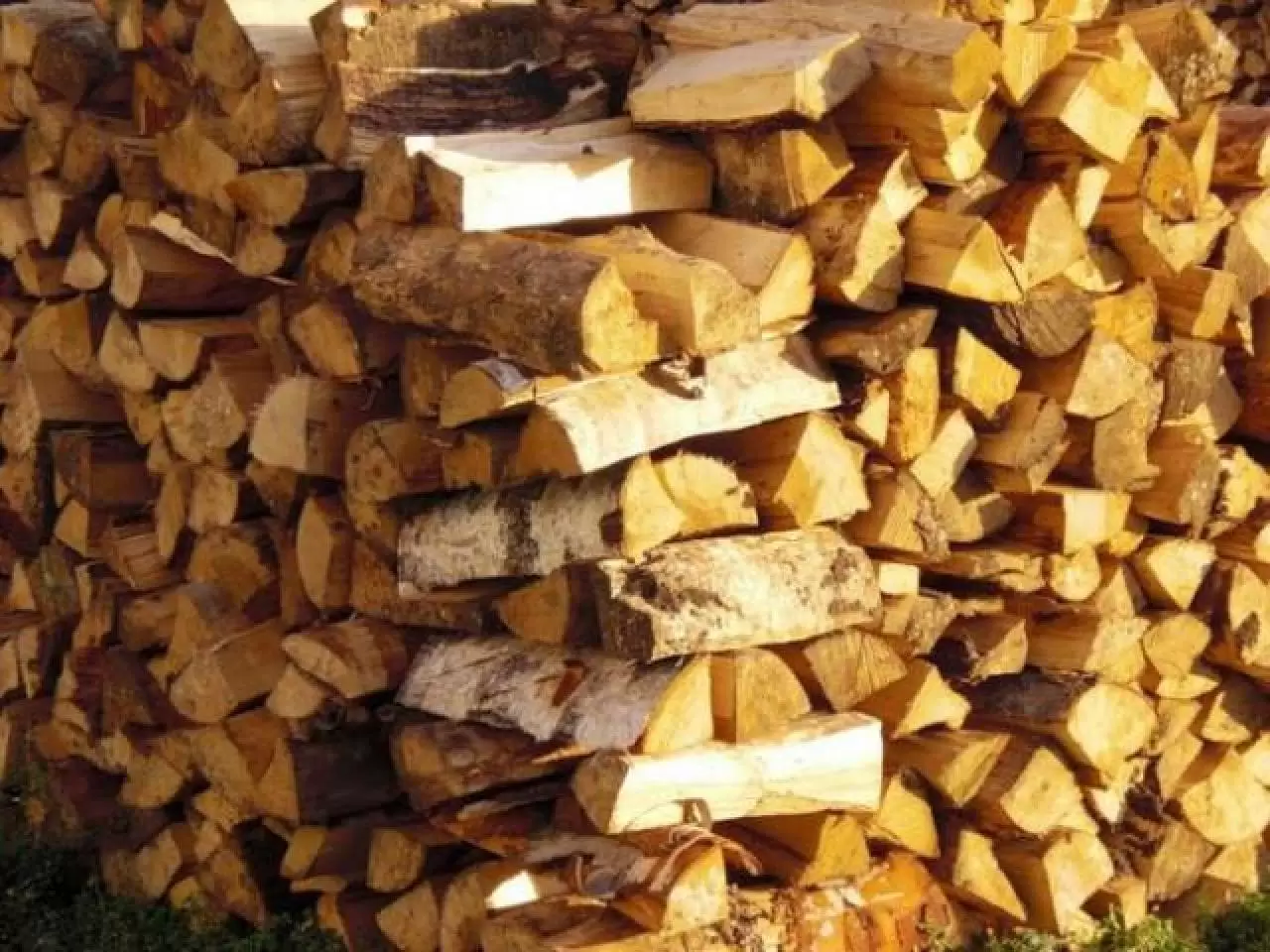 Купить дрова березовые дешево. Береза осина ольха дрова. Дрова 1200 за куб. Березовые дрова. Дрова берёзовые колотые.