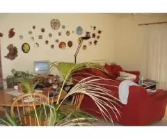 Real estate in Tenerife for sale » #369 - 1