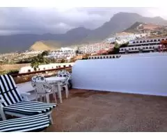 Real estate in Tenerife for rent  - 5