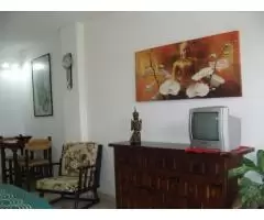Real estate in Tenerife for rent  - 5