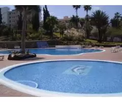 Real estate in Tenerife for rent  - 4