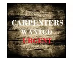 СРОЧНО требуются Плотники Carpenters - London - 1